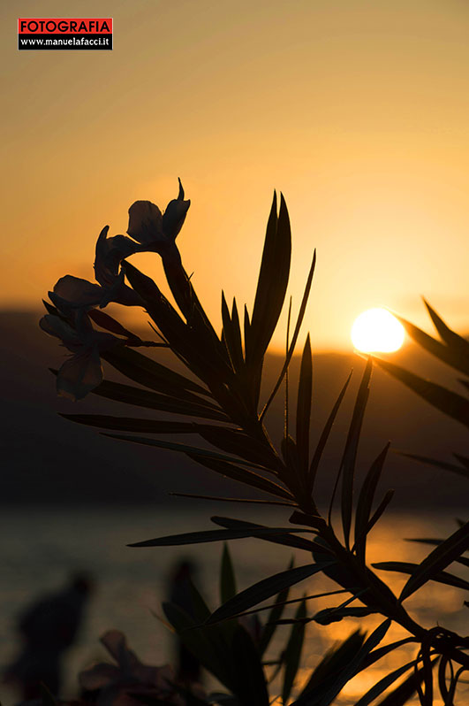 Tramonti-Lungomare-Reggio-Calabria-08