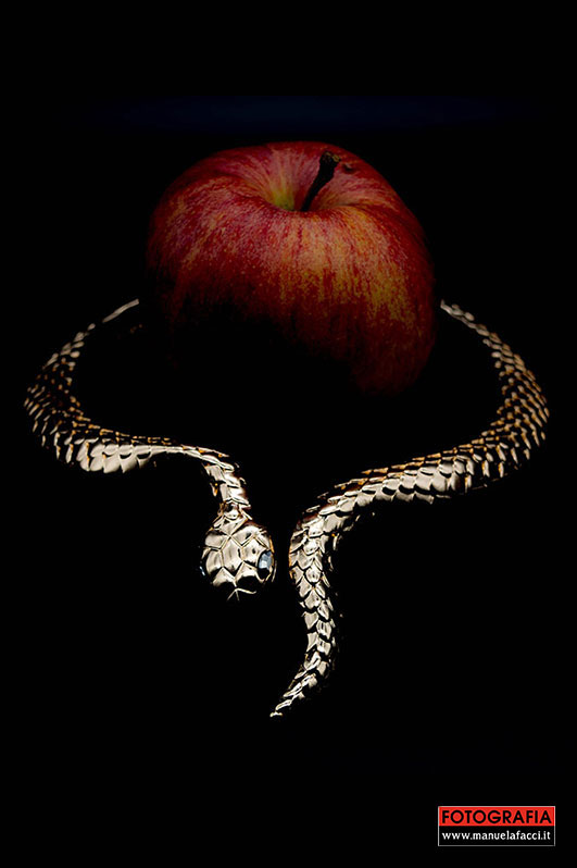 still-life-07-the-snake-and-the-apple