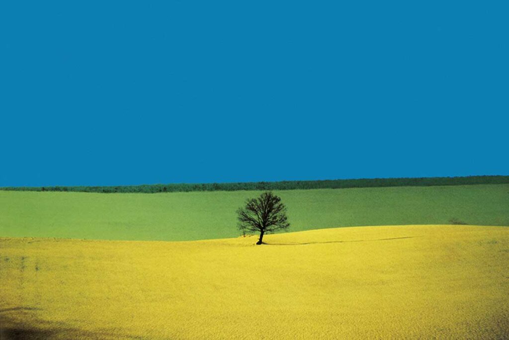 franco-fontana-01-puglia-1987