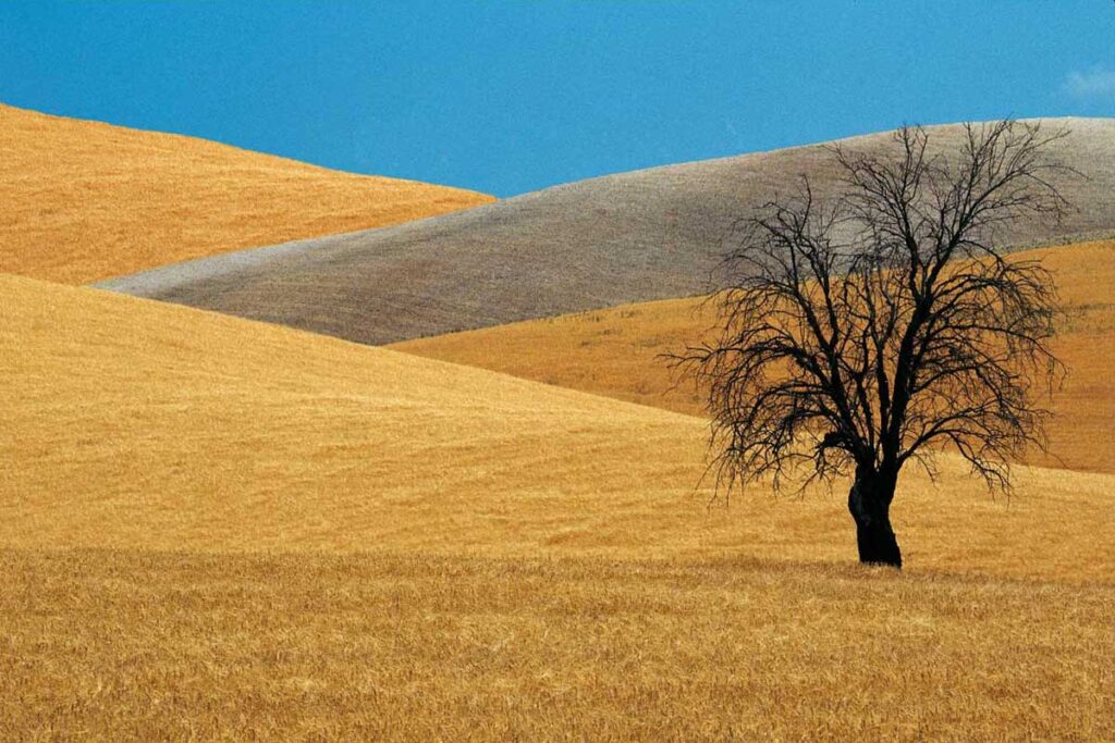 franco-fontana-02-spagna-1995