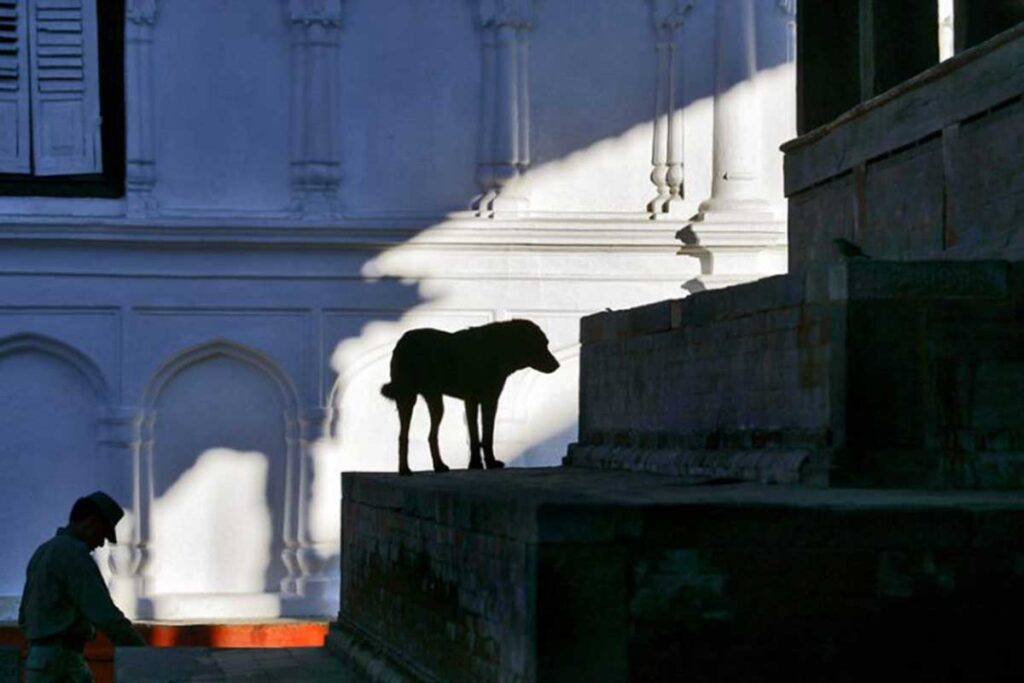 tom-ang-06-India-Himalaya