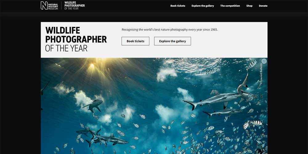 leica-oskar-barnack-award-2022