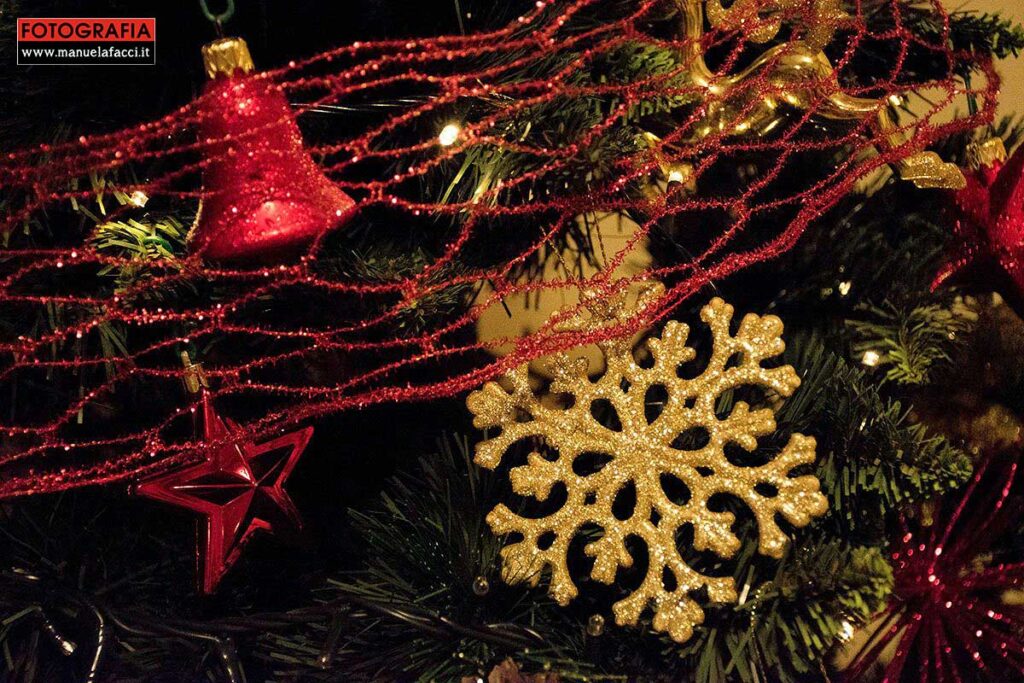 still-life-26-christmas-tree