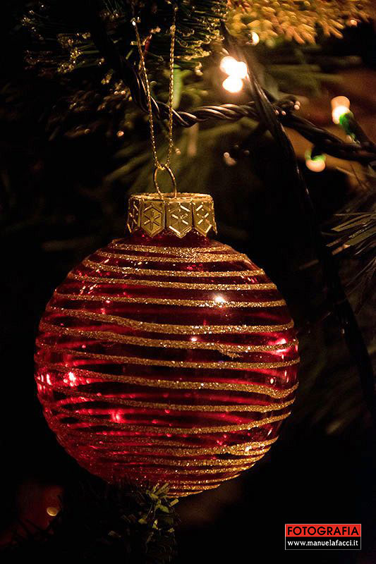 still-life-27-christmas-decoration