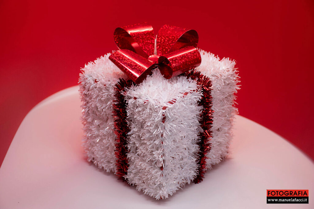 still-life-28-christmas-gift