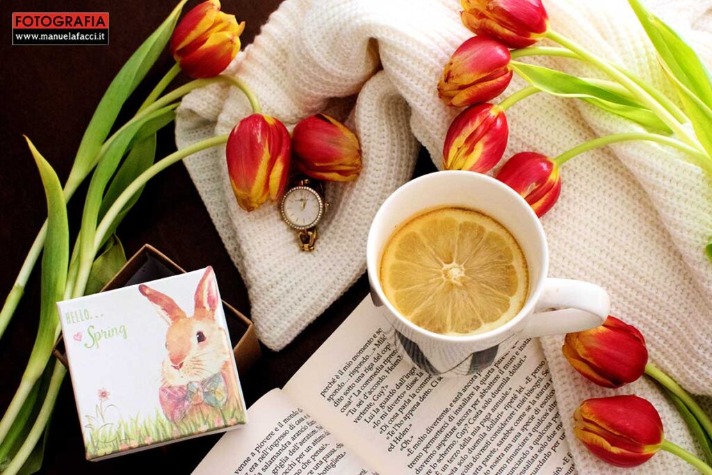 still-life-39-hello-spring
