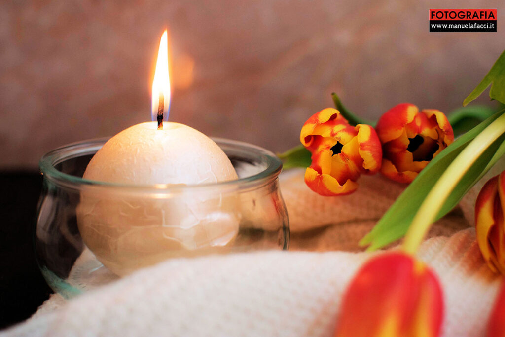 still-life-40-tulips