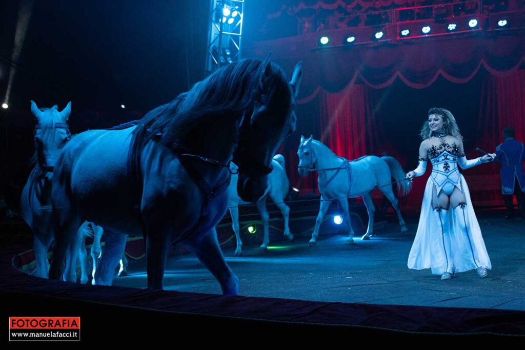 circo-m-orfei-03
