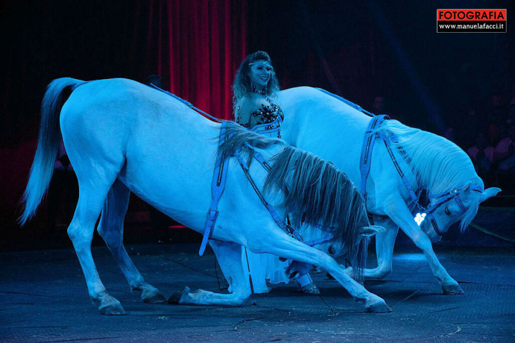 circo-m-orfei-06