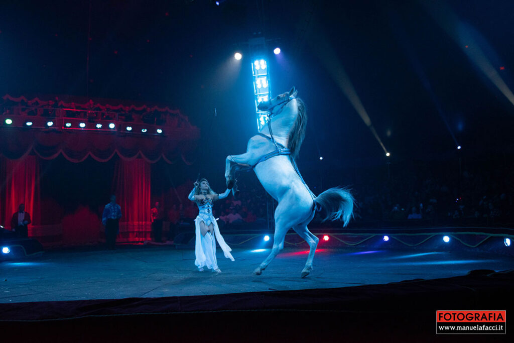 circo-m-orfei-08