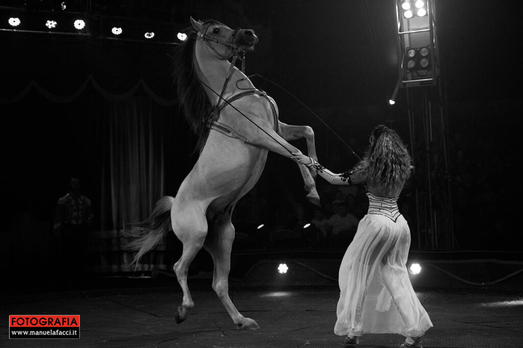 circo-m-orfei-09